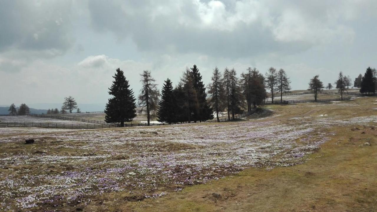 Alpenrose Leilighet Mölten Eksteriør bilde
