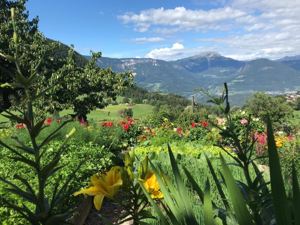 Alpenrose Leilighet Mölten Eksteriør bilde